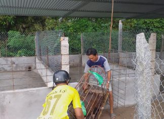 BÀN GIAO HEO GIỐNG THEO MÔ HÌNH SÁP NHẬP CHO HỘ NUÔI TẠI TỈNH AN GIANG – HEO RỪNG MIỀN TÂY