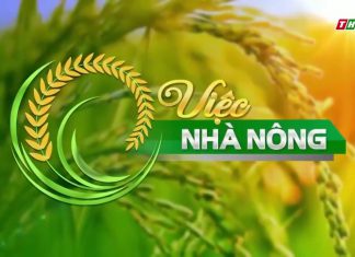 Việc nhà nông – Mô hình nuôi heo rừng – Heo rừng miền tây – Đoàn Phan Dinh (THVL1)