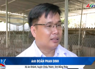 (PHÓNG SỰ) TRANG TRẠI HEO RỪNG HÀNG CHỤC TỈ ĐỒNG GIÚP LÀM GIÀU CHO NGƯỜI DÂN MIỀN TÂY – HEO RỪNG MIỀN TÂY