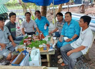 HEO RỪNG QUAY NGUYÊN CON GIAO KHÁCH HÀNG TẠI HUYỆN TAM NÔNG, ĐỒNG THÁP – HEO RỪNG MIỀN TÂY