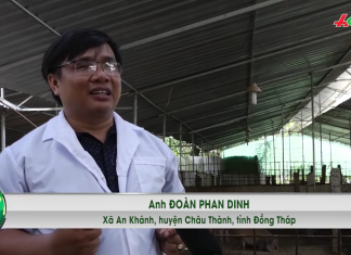 (PHÓNG SỰ) NUÔI HEO RỪNG CHO ĂN THẢO DƯỢC – HEO RỪNG MIỀN TÂY