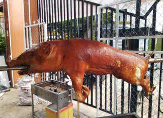 (ẨM THỰC) HEO RỪNG NƯỚNG THẢO MỘC TẠI NHÀ HỘ NUÔI Ở TỈNH KIÊN GIANG – HEO RỪNG MIỀN TÂY