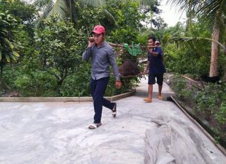 BÀN GIAO HEO GIỐNG CHO HỘ NUÔI TẠI TỈNH BẠC LIÊU – HEO RỪNG MIỀN TÂY