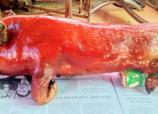 HEO RỪNG QUAY CHUẨN VỊ TÂY BẮC – HEO RỪNG MIỀN TÂY