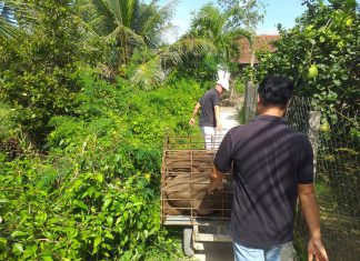 XUẤT HEO CỦA HỘ NUÔI TẠI TỈNH TIỀN GIANG – HEO RỪNG MIỀN TÂY