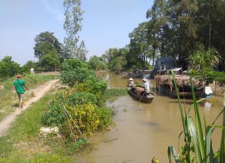 XUẤT HEO CHO HỘ DÂN Ở GÁO GIỒNG CAO LÃNH ĐỒNG THÁP – HEO RỪNG MIỀN TÂY