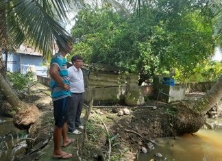 KHẢO SÁT HƯỚNG DẪN XÂY CHUỒNG CHO HỘ NUÔI TỈNH LONG AN – HEO RỪNG MIỀN TÂY