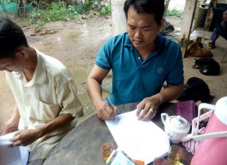 GIAO GIỐNG CHO HỘ NUÔI TỈNH BẾN TRE – HEO RỪNG MIỀN TÂY