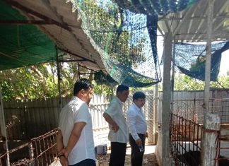 LÊN HỢP ĐỒNG CHO KHÁCH ĐẾN CÔNG TY THAM QUAN Ở CHÂU THÀNH TIỀN GIANG – HEO RỪNG MIỀN TÂY