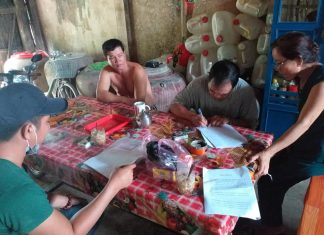 GIAO GIỐNG CHO HỘ NUÔI CÀNG LONG TRÀ VINH – HEO RỪNG MIỀN TÂY