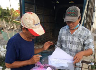 GIAO GIỐNG CHO HỘ NUÔI Ở TP. CÀ MAU, TỈNH CÀ MAU – HEO RỪNG MIỀN TÂY