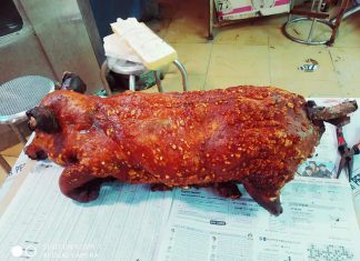 NHẬN ĐẶT HEO RỪNG QUAY NGUYÊN CON – HEO RỪNG QUAY THẢO MỘC