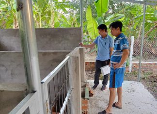 KHẢO SÁT HỘ NUÔI Ở VŨNG LIÊM TỈNH VĨNH LONG – HEO RỪNG MIỀN TÂY