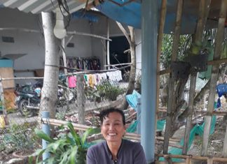 XUẤT HEO CHO HỘ NUÔI TỈNH HẬU GIANG – HEO RỪNG MIỀN TÂY