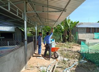 KHẢO SÁT LÊN HỢP ĐỒNG CHO HỘ NUÔI Ở THỚI LAI, TP.CẦN THƠ – HEO RỪNG MIỀN TÂY