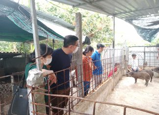 KHÁCH VŨNG LIÊM, VĨNH LONG ĐẾN THAM QUAN CÔNG TY – HEO RỪNG MIỀN TÂY