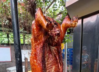 HEO RỪNG QUAY THẢO MỘC – HEO RỪNG MIỀN TÂY