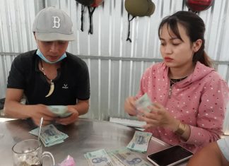 GIAO GIỐNG CHO HỘ NUÔI Ở CÀNG LONG TỈNH TRÀ VINH – HEO RỪNG MIỀN TÂY