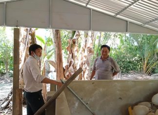 KHẢO SÁT HƯỚNG DẪN XÂY CHUỒNG CHO HỘ NUÔI Ở LONG HỒ TỈNH VĨNH LONG – HEO RỪNG MIỀN TÂY