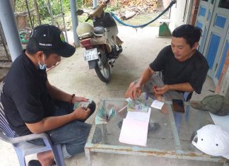 XUẤT HEO HỘ NUÔI Ở MỎ CÀY BẮC TỈNH BẾN TRE – HEO RỪNG MIỀN TÂY