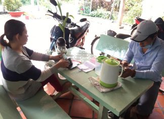 XUẤT HEO CHO HỘ NUÔI Ở THOẠI SƠN TỈNH AN GIANG – HEO RỪNG MIỀN TÂY