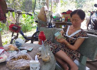 XUẤT HEO CHO HỘ NUÔI TỈNH BẾN TRE – HEO RỪNG MIỀN TÂY