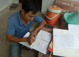 GIAO GIỐNG CHO HỘ NUÔI Ở PHONG ĐIỀN TP.CẦN THƠ – HEO RỪNG MIỀN TÂY