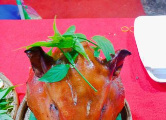 KHẢO SÁT THỰC TẾ HỘ NUÔI MỚI GIANG THÀNH TỈNH KIÊN GIANG – HEO RỪNG MIỀN TÂY