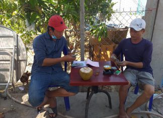 XUẤT HEO CHO 2 HỘ NUÔI TỈNH ĐỒNG THÁP – HEO RỪNG MIỀN TÂY