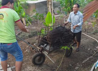 XUẤT HEO HỘ NUÔI TỈNH ĐỒNG THÁP – HEO RỪNG MIỀN TÂY