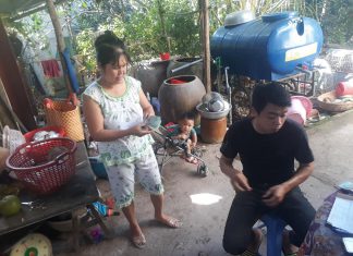 XUẤT HEO CHO 2 HỘ NUÔI TỈNH BẾN TRE – HEO RỪNG MIỀN TÂY