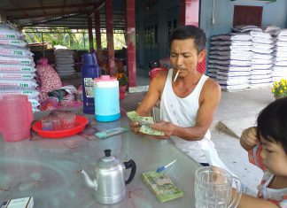 XUẤT HEO HỘ NUÔI TỈNH BẾN TRE – HEO RỪNG MIỀN TÂY