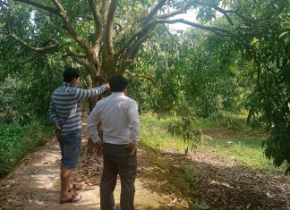 KHẢO SÁT KÍ HỢP ĐỒNG HỘ NUÔI MỚI TỈNH ĐỒNG THÁP – HEO RỪNG MIỀN TÂY