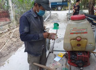 XUẤT HEO CHO HỘ NUÔI Ở CẦN THƠ – HEO RỪNG MIỀN TÂY