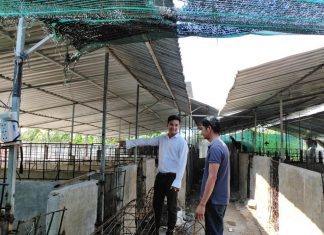 KHÁCH THAM QUAN CÔNG TY – HEO RỪNG MIỀN TÂY