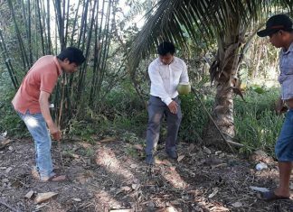 KHẢO SÁT THỰC TẾ VÀ HƯỚNG DẪN XÂY CHUỒNG 3 HỘ NUÔI MỚI TỈNH AN GIANG – HEO RỪNG MIỀN TÂY