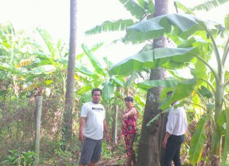 KHẢO SÁT HƯỚNG DẪN XÂY CHUỒNG 2 HỘ NUÔI MỚI Ở LAI VUNG TỈNH ĐỒNG THÁP – HEO RỪNG MIỀN TÂY