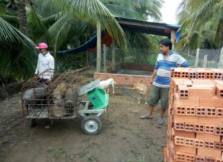 XUẤT HEO CHO HỘ NUÔI TỈNH BẾN TRE – HEO RỪNG MIỀN TÂY