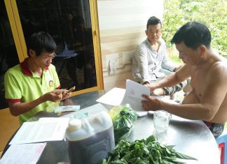 GIAO GIỐNG CHO HỘ NUÔI Ở CHÂU THÀNH TIỀN GIANG – HEO RỪNG MIỀN TÂY