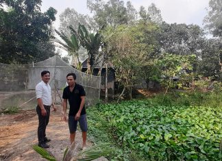 HƯỚNG DẪN XÂY CHUỒNG HỘ NUÔI MỚI TỈNH AN GIANG – HEO RỪNG MIỀN TÂY