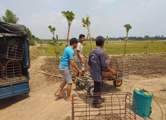 GIAO GIỐNG HỘ NUÔI TỈNH ĐỒNG THÁP – HEO RỪNG MIỀN TÂY