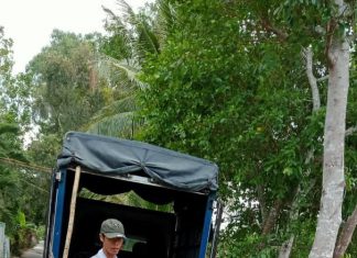 XUẤT HEO CHO HỘ NUÔI TỈNH ĐỒNG THÁP VÀ SÓC TRĂNG – HEO RỪNG MIỀN TÂY