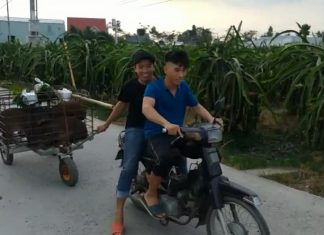 GIAO GIỐNG HỘ NUÔI MỚI TỈNH LONG AN – HEO RỪNG MIỀN TÂY