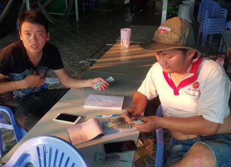 XUẤT HEO HỘ NUÔI TỈNH ĐỒNG THÁP – HEO RỪNG MIỀN TÂY