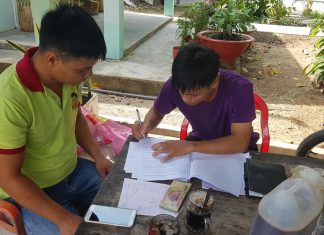 GIAO GIỐNG HỘ NUÔI MỚI TỈNH HẬU GIANG – HEO RỪNG MIỀN TÂY