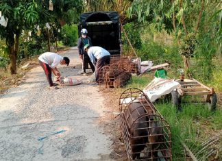 XUẤT HEO CHO 2 HỘ NUÔI TỈNH ĐỒNG THÁP – HEO RỪNG MIỀN TÂY