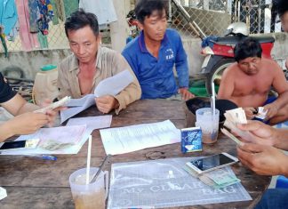 GIAO GIỐNG HỘ NUÔI MỚI TỈNH HẬU GIANG – HEO RỪNG MIỀN TÂY