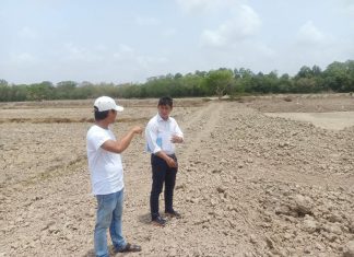 KHẢO SÁT HỘ NUÔI MỚI TỈNH TRÀ VINH – HEO RỪNG MIỀN TÂY