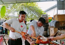 HEO RỪNG QUAY THẢO MỘC – HEO RỪNG MIỀN TÂY