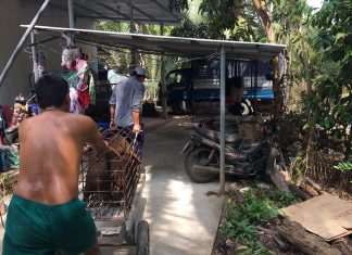 XUẤT HEO CHO HỘ NUÔI TỈNH BẾN TRE – HEO RỪNG MIỀN TÂY